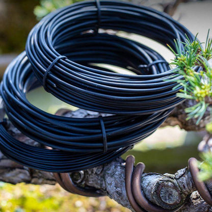 Soft Aluminum Bonsai Training Wire